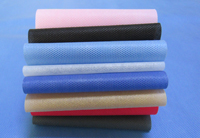 宁夏涤纶（PET）无纺布是什么